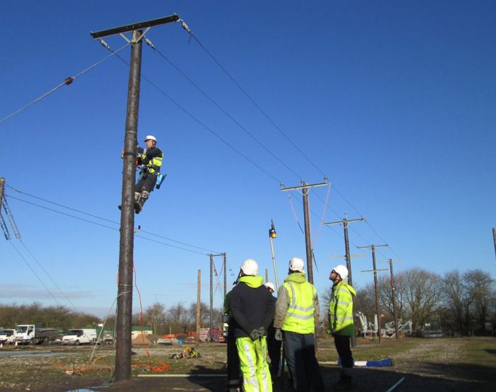 Um trabalhador com equipamento de segurança sobe a um poste de eletricidade enquanto quatro outros, com vestuário de alta visibilidade e capacetes, observam do chão num dia claro.